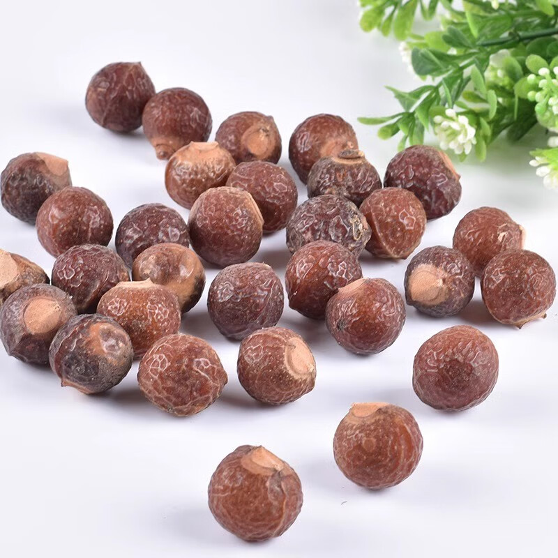 Whole Soapberry Fruits Wu Huan Zi Sapindus mukorossi Natural Dried Soapnuts 500g for Hair Washing and Cleaning - Image 3