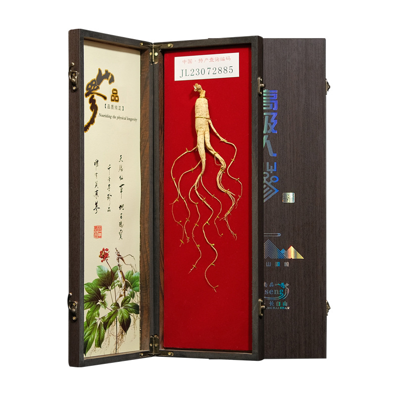 Wild Forest Ginseng Gift Box 40cm Wooden Presentation Case with Certificate Jilin Changbai Mountain - Image 2