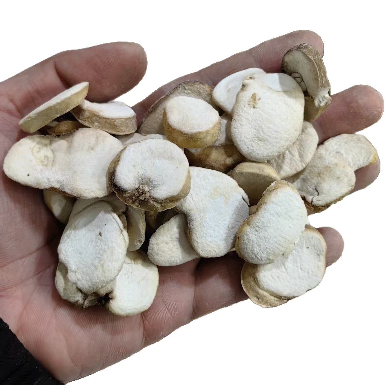 Zhejiang Fritillaria Bulb Powder Zhe Bei Mu 500g Traditional Herbal Ingredient - Image 5