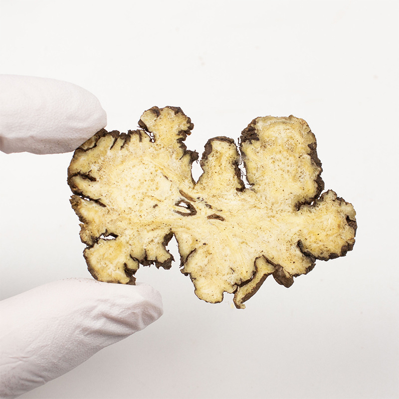 Chuan Xiong Sichuan Lovage Rhizome Slices Dried TCM Herb for Decoction and Tea 500g - Image 3