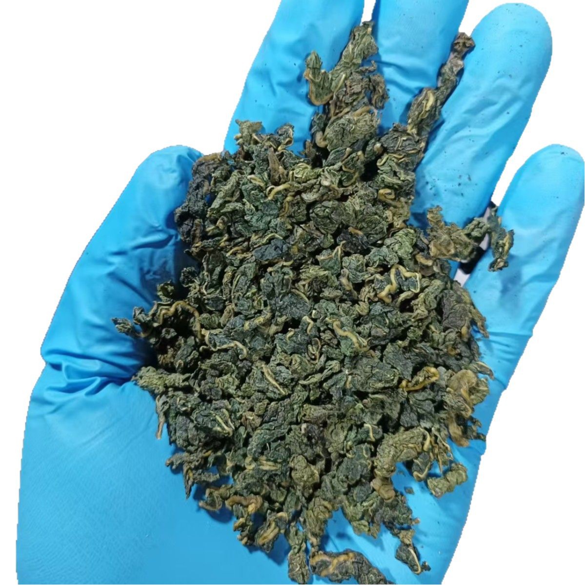 Mulberry Leaf Tea Sang Ye 500g Pan-Fried Herbal Tea Loose Leaf - Image 5