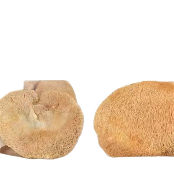 Hou Tou Gu Powder 500g Lion's Mane Mushroom Meal Replacement Powder from Northeast China - Image 5