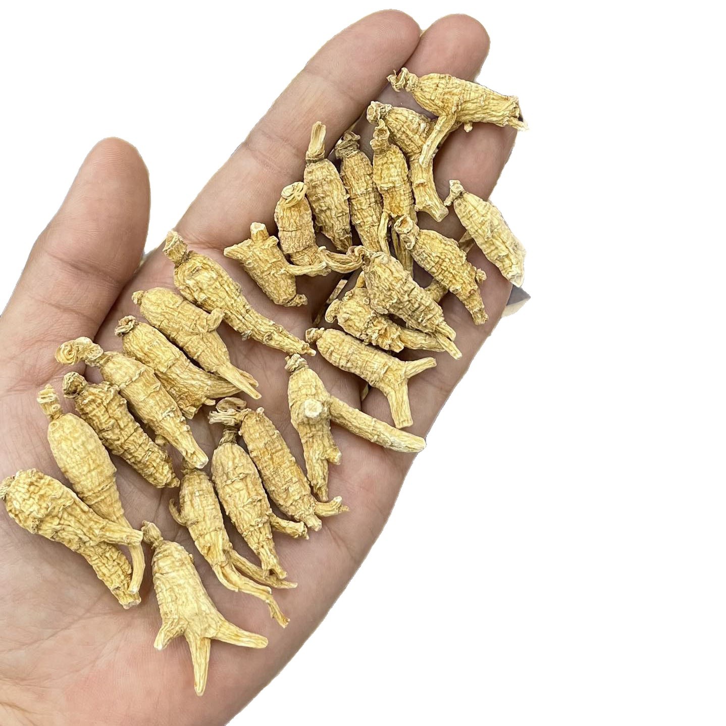 Canadian American Ginseng Hua Qi Shen 250g Whole Small Round Roots for Soup and Tea - Image 5