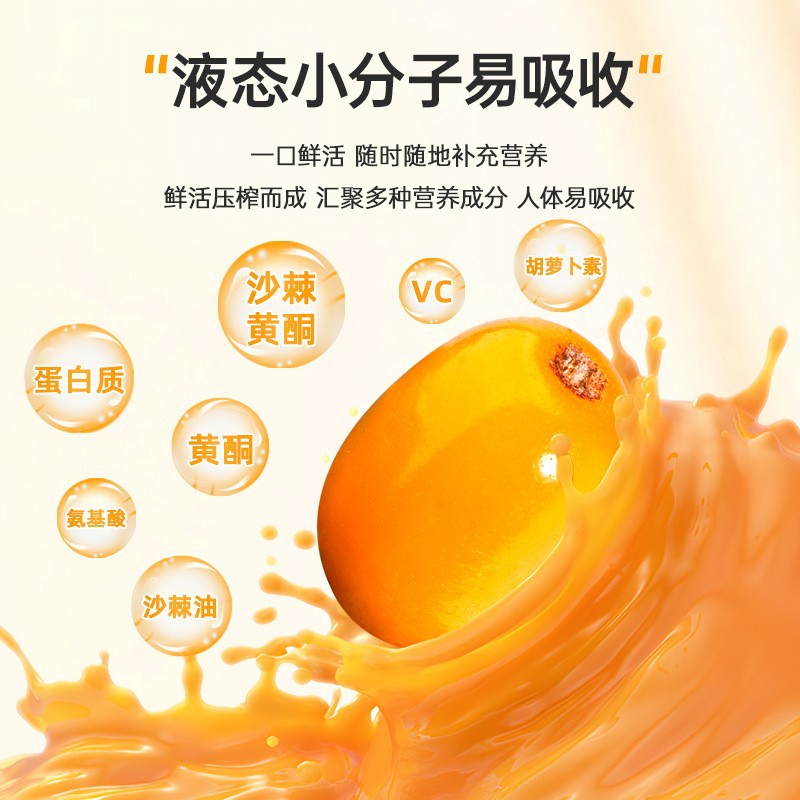 Organic Sea Buckthorn Juice Puree Fresh Pressed 500ml 10 Bottles Ningxia - Image 3