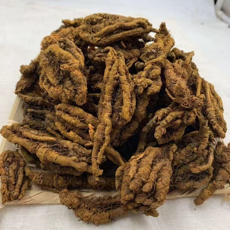 Sichuan Coptis Huang Lian Sliced Dried Herb 500g Traditional TCM Bitter Cooling Root - Image 2