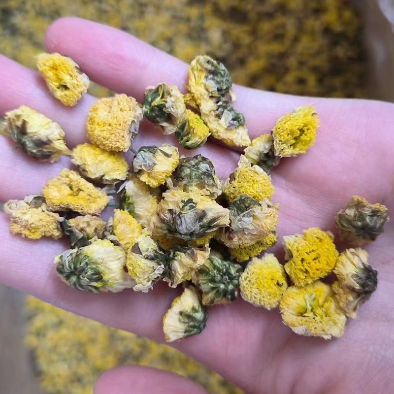 Wild Chrysanthemum Flower Ye Ju Hua 500g Dried Herbal Tea Bulk New Harvest - Image 2