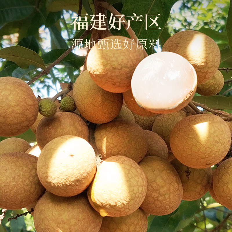 Dried Longan Fruit 900g Gift Box Ready to Eat Gui Yuan Rou for Tea and Soup - Image 2