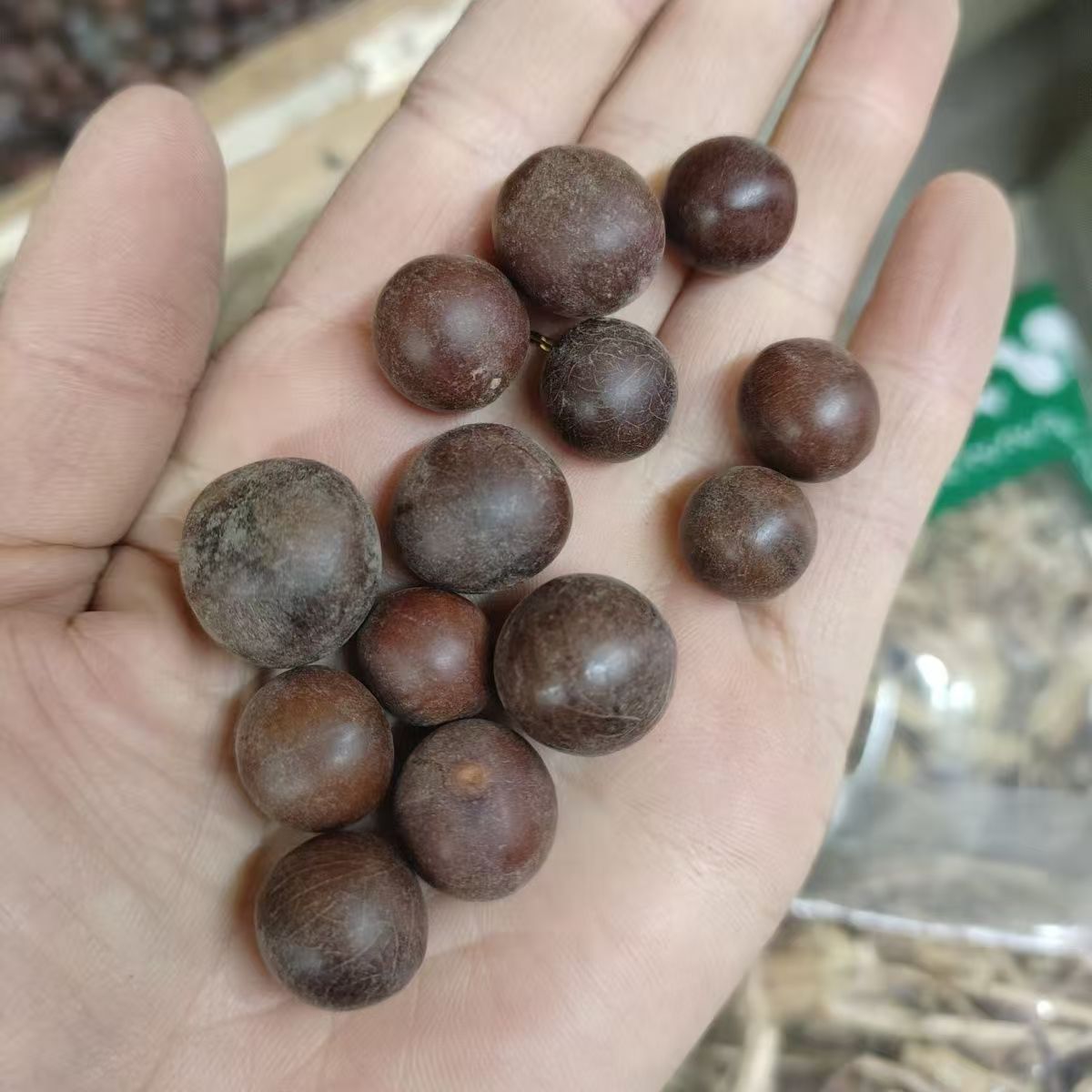 Sun Fruit (Tai Yang Guo) — Dried Food Herb for Cooking & Herbal Soups, 500g - Image 4