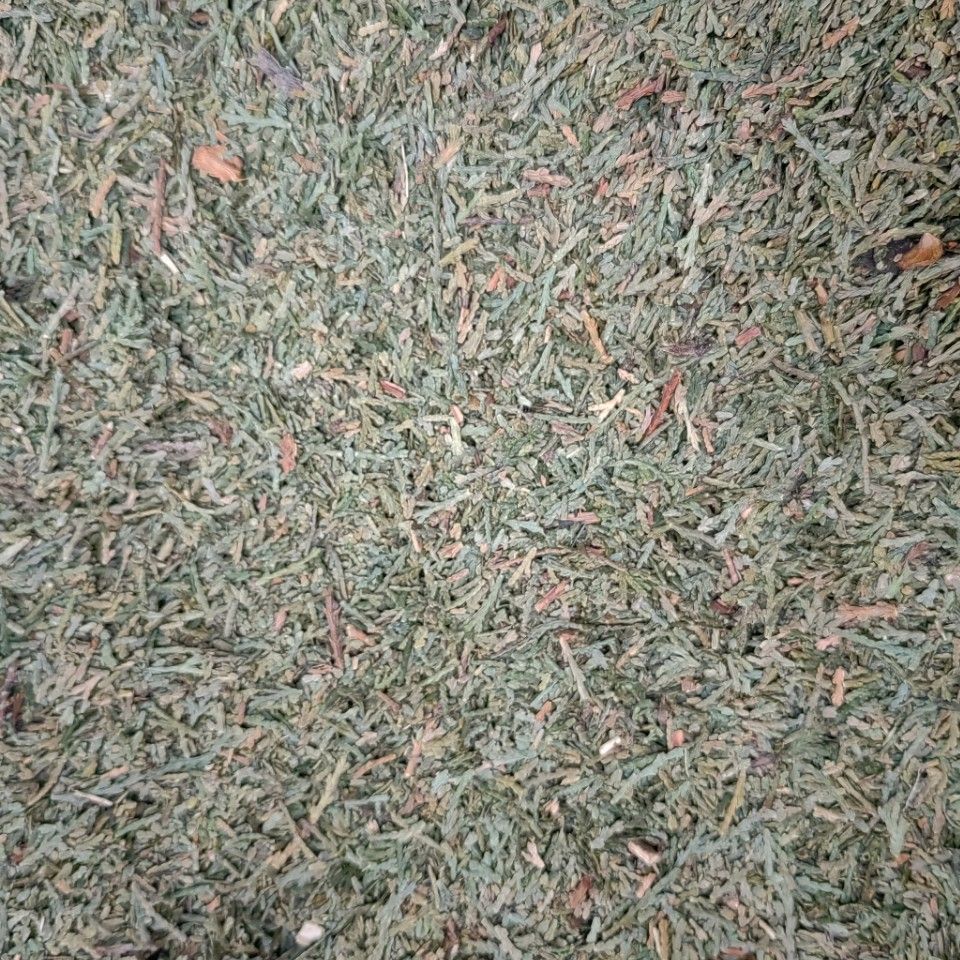 Ce Bai Ye Powder (Platycladus orientalis) — Dried Arborvitae Leaf Herb, 500g - Image 3