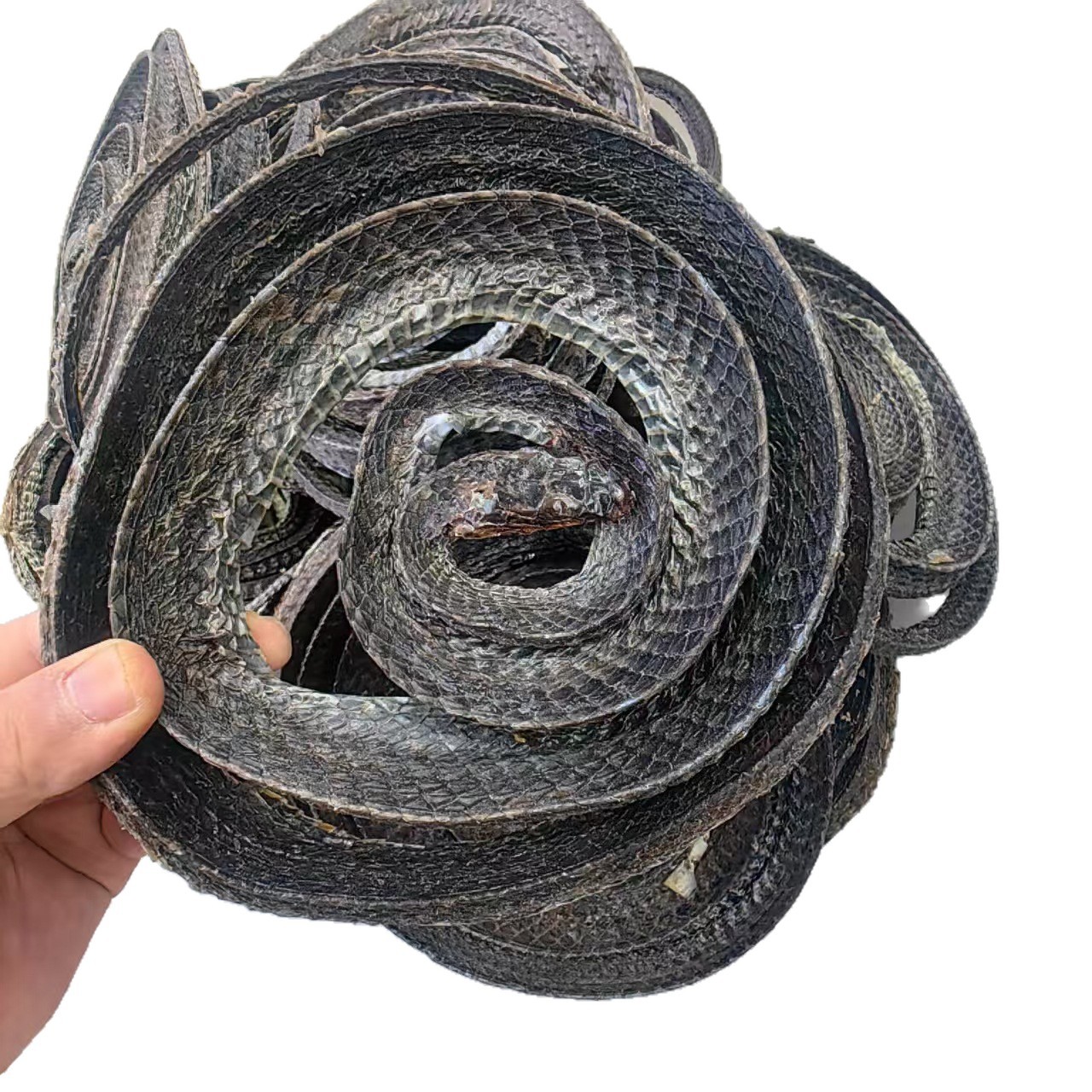 Dried Wu Shao Snake Wu Shao She Whole Snake Sichuan Origin Traditional Herbal Ingredient 250g - Image 5