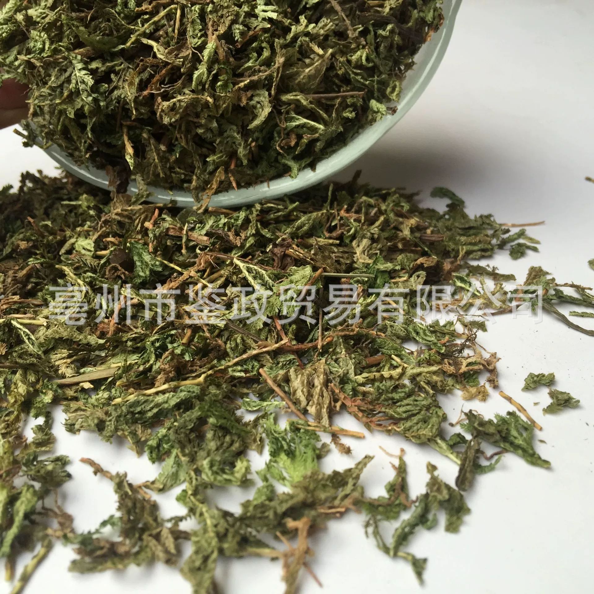 Shi Shang Bai Dried Selaginella Whole Herb 500g Traditional Chinese Herbal Tea Ingredient - Image 4