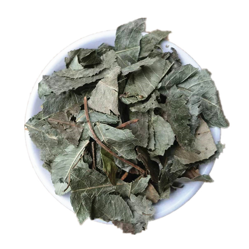 Dried Ai Di Tea Herb Ardisia Japonica Whole Herb Traditional TCM Decoction Herb Bulk Supply - Image 5