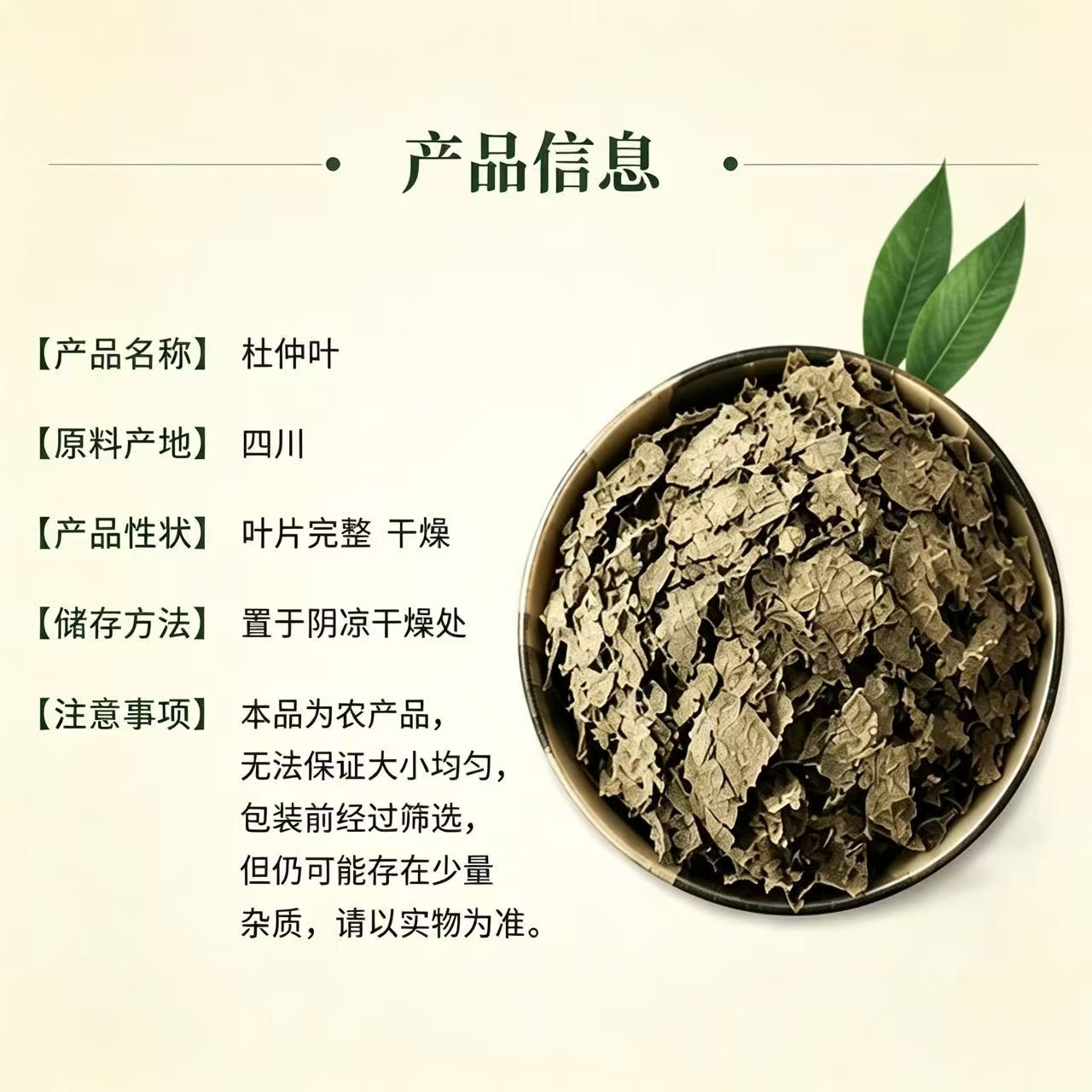 Dried Eucommia Leaf Du Zhong Ye Loose Bulk Naturally Sun Dried Whole Leaves for Tea and Decoction 500g Bag - Image 4