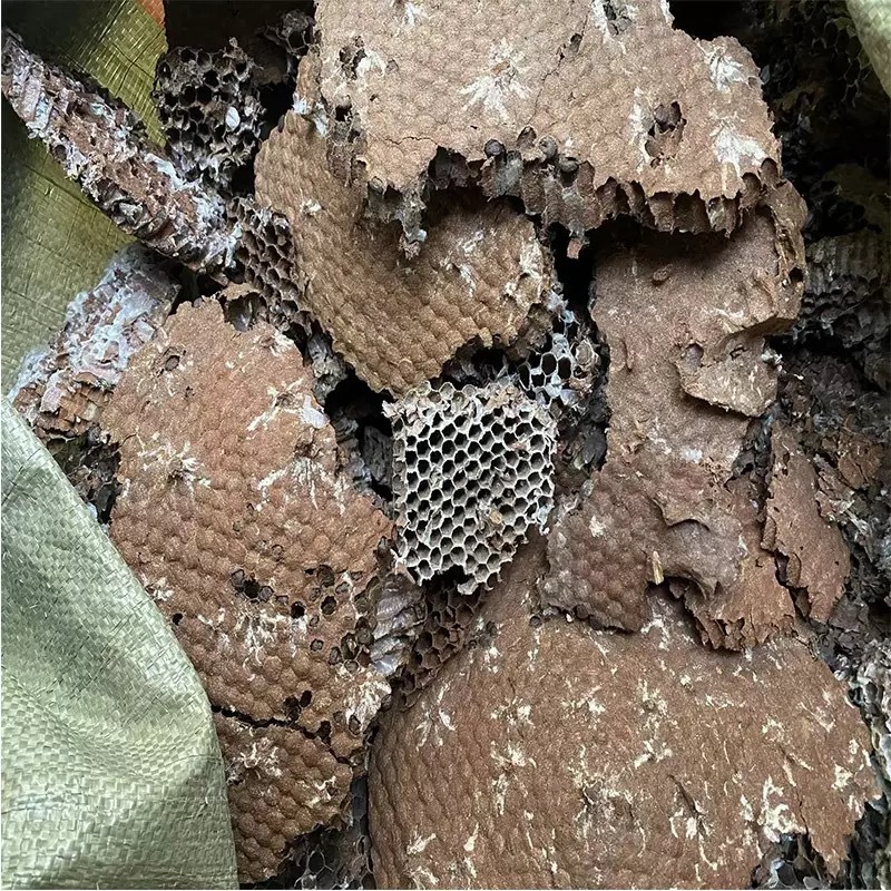 Feng Fang (Vespae Nidus) — Dried Hornet Nest Herb for TCM Decoction & External Use - Image 3