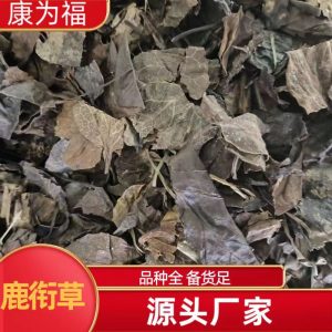 Lu Xian Cao (Pyrola calliantha) — Dried Deer-Hoof Herb, Food Herb for Tea & Soup
