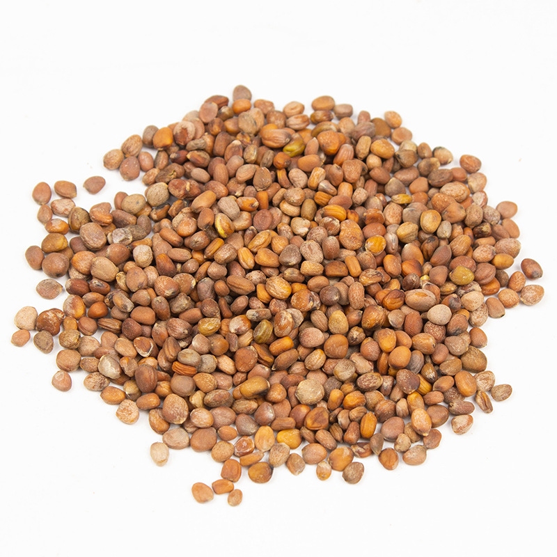 Dried Raphanus Seed Lai Fu Zi 500g Whole Radish Seeds for Herbal Decoction and Tea - Image 4