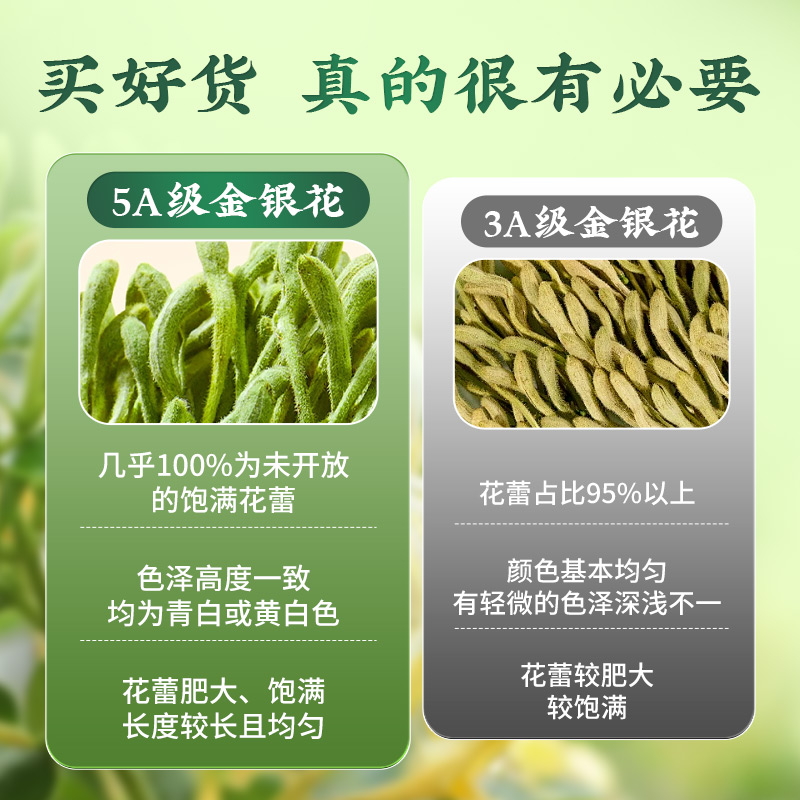 Organic Honeysuckle Tea Jin Yin Hua Dried Flower Buds for Cooling Herbal Infusions 20g - Image 2