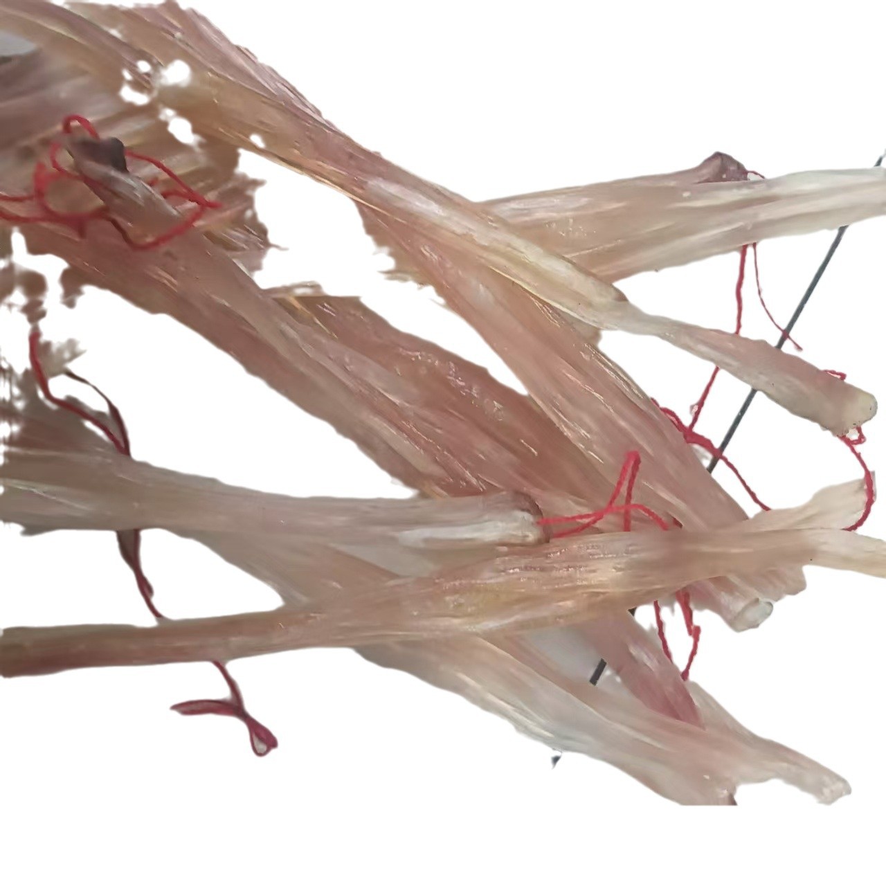 Dried Beef Tendon Niu Jin 500g Large Cut Air Dried Beef Leg Tendon for Slow Cooked Soups and Stews - Image 5
