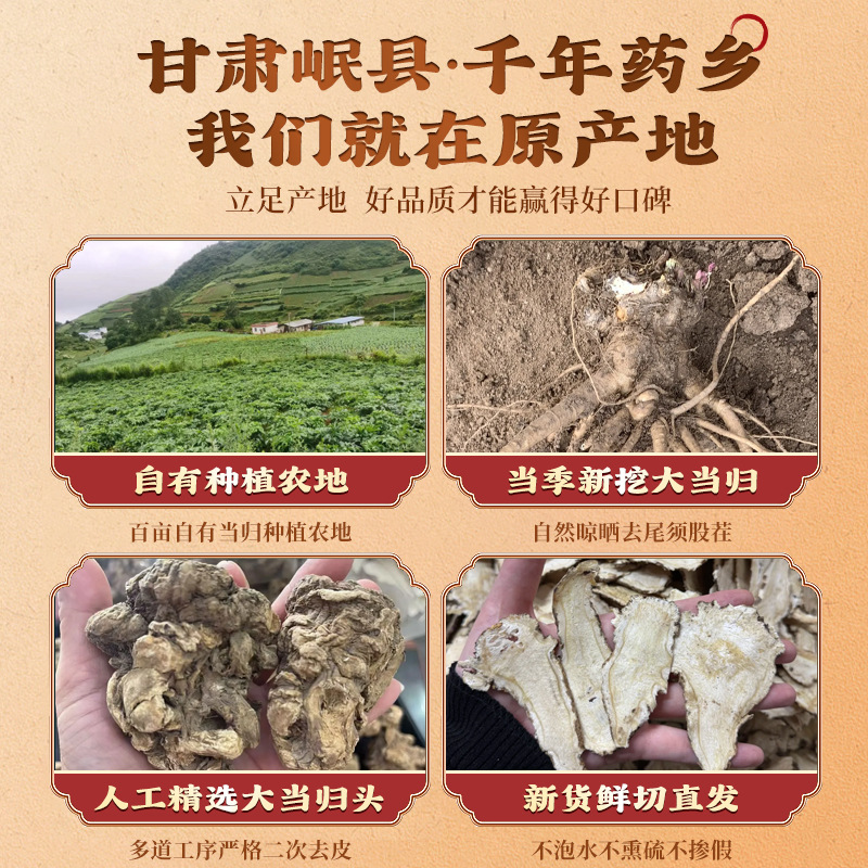 Premium Dang Gui Head Slices 500g Chinese Angelica Root Dried Herb for Decoction and Soup - Image 3