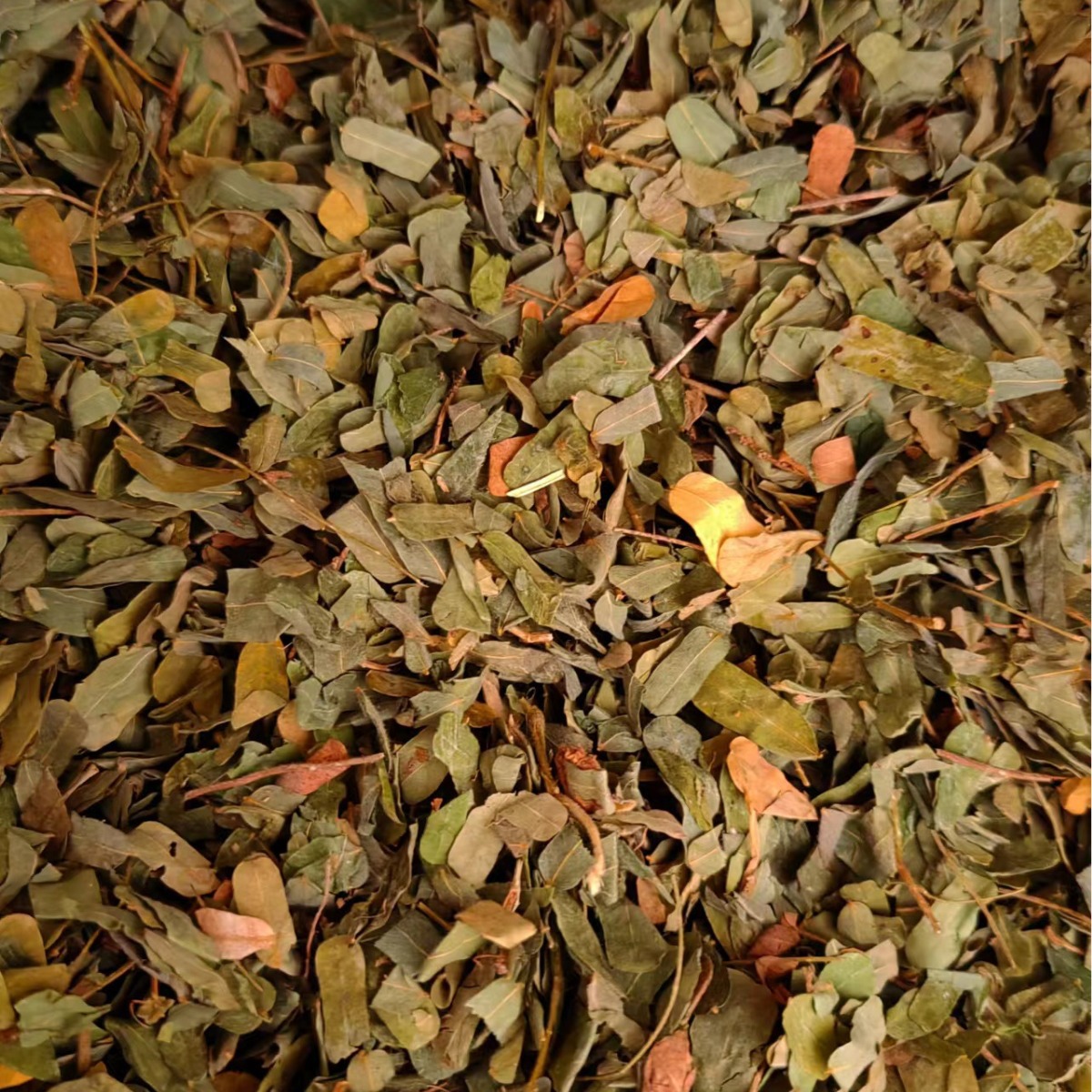 Ji Gu Cao (Abrus cantoniensis) — Dried Food Herb Vine for Herbal Tea & Soup - Image 2