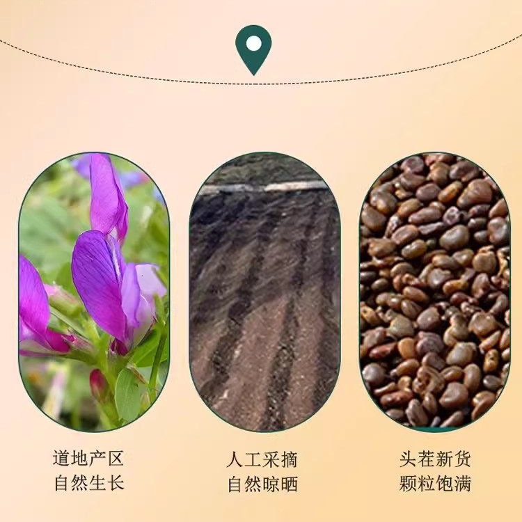 Sha Yuan Zi Astragalus Seed Tea 125g Dried Flattened Milkvetch Seeds Traditional Chinese Herbal Infusion - Image 4