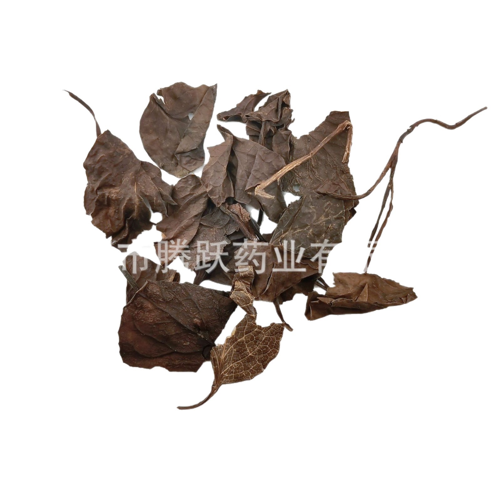 Dried Pyrola Herb Lu Xian Cao Whole Plant Traditional Chinese Herbal Tea 500g Bag - Image 5