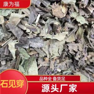 Shi Jian Chuan (Salvia chinensis) — Dried Chinese Herb for Traditional Decoctions