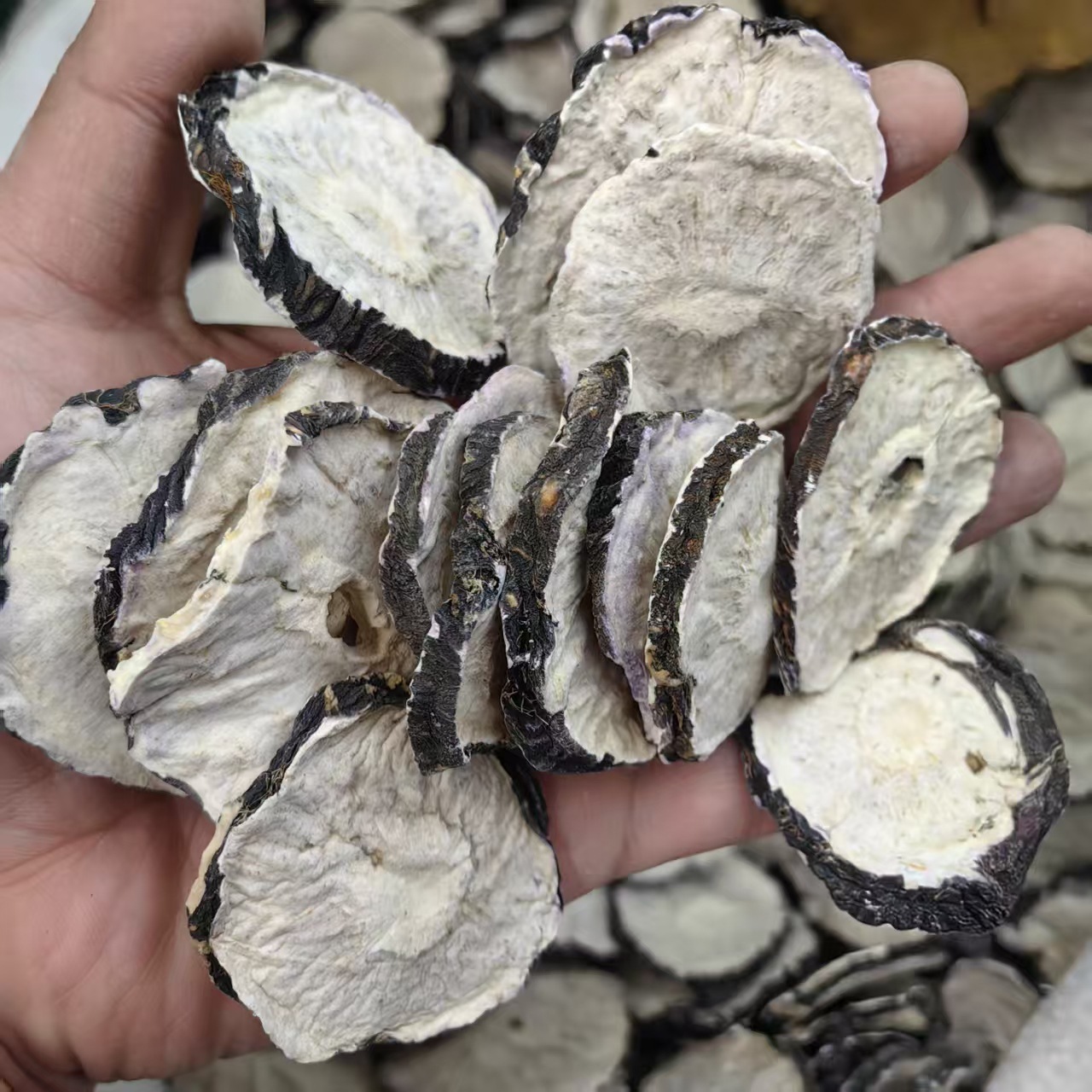 Maca Root Dried Slices Mai Jia 玛卡 Lepidium meyenii Hand Cut Sun Dried Herbal Slices 500g - Image 2