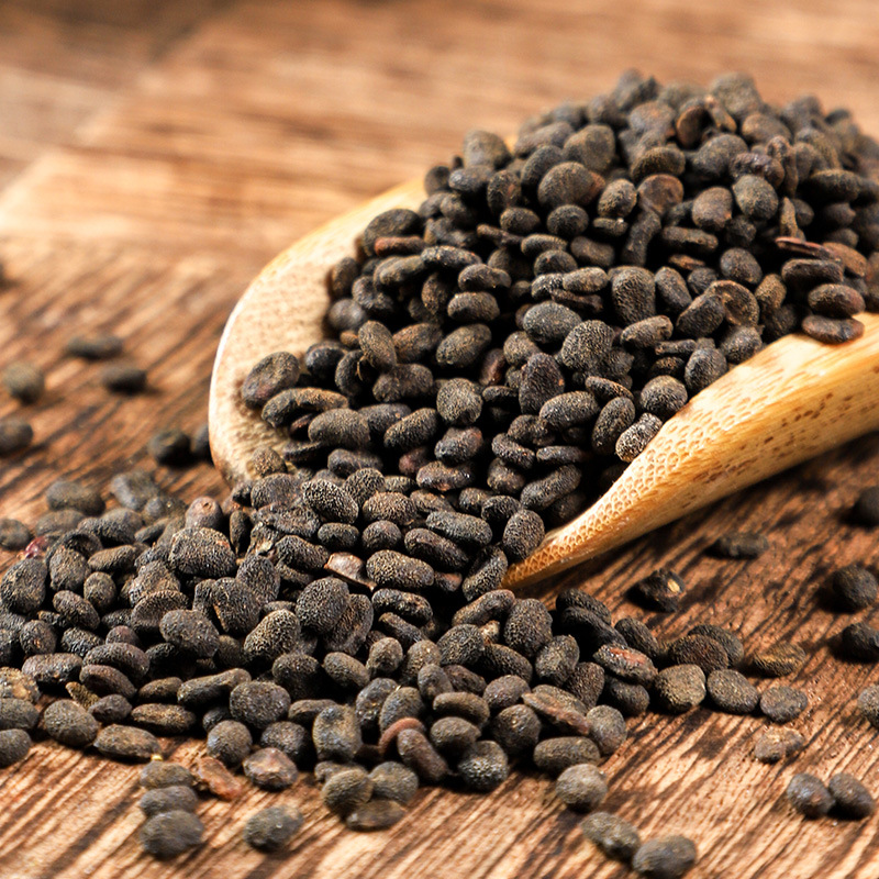 Bu Gu Zhi (Psoralea corylifolia) — Prepared Psoralea Seeds, Food Herb for Decoction & Powder - Image 3