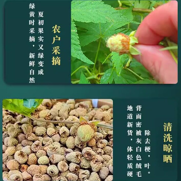 Fu Pen Zi Dried Raspberry Fruit 100g Wild Five-Lobe Rubus for Herbal Tea and Decoction - Image 3