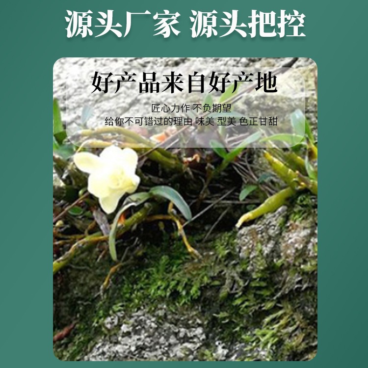 Dendrobium Flower Tea Huo Shan Tie Pi Shi Hu Hua 100g Dried Herbal Flowers for Tea and Soup - Image 2