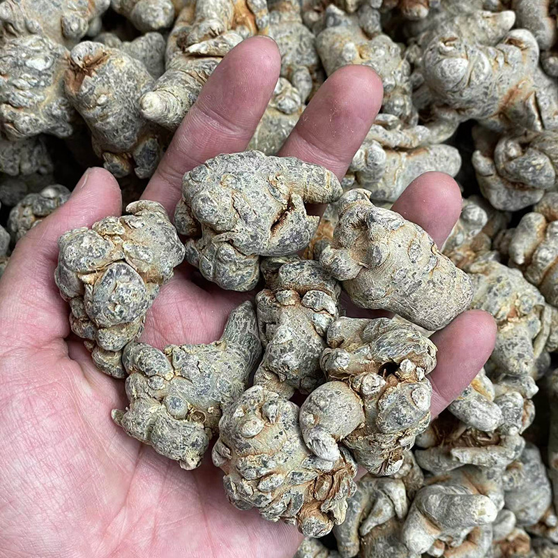 Dried Notoginseng Root Heads from Yunnan Wenshan Sanqi Tianqi Herbal Decoction Pieces 250g - Image 2