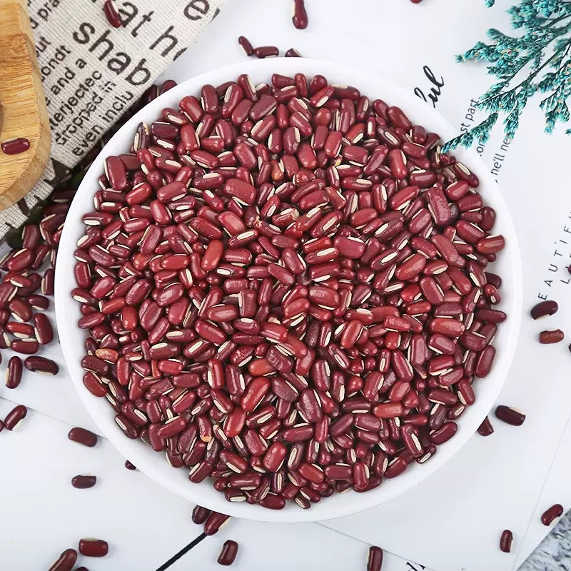 Adzuki Bean Chi Xiao Dou 500g Dried Vigna angularis Whole Beans for Soup Congee and Herbal Blends - Image 2