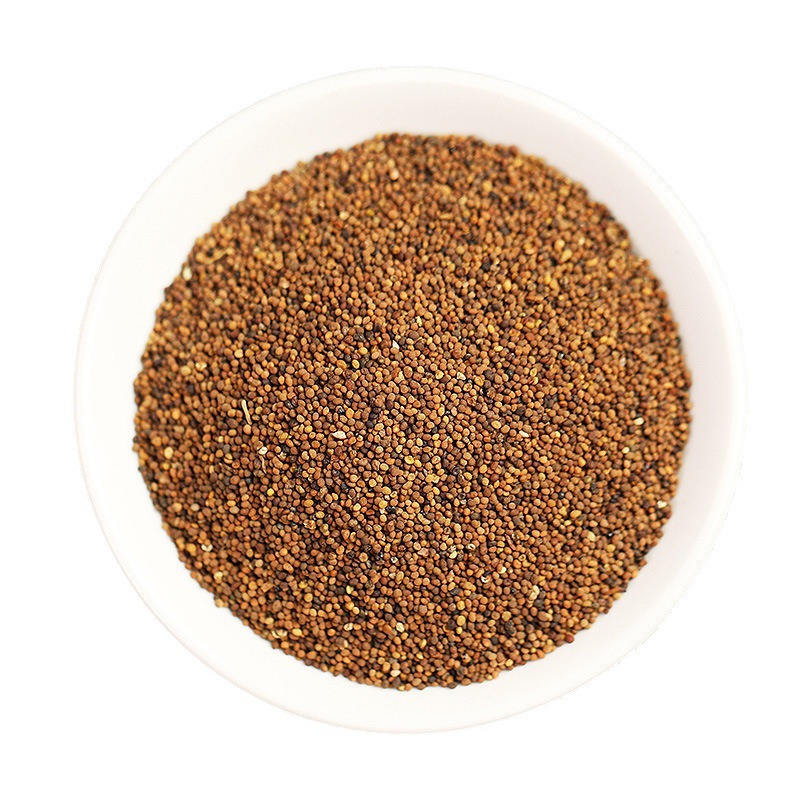 Tu Si Zi (Cuscuta chinensis) — Washed Dodder Seed, 500g Food Herb for Tea & Tonic Blends - Image 4