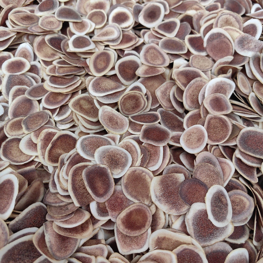 Deer Antler Slices Lu Rong Pian Dried TCM Herb Slices for Decoction and Infused Wine 500g - Image 2