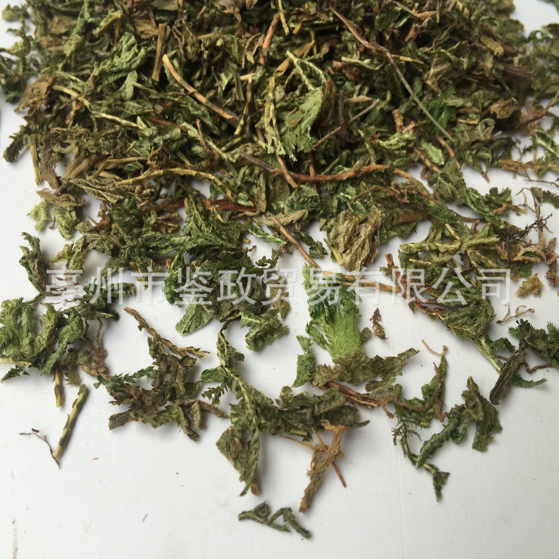 Shi Shang Bai Dried Selaginella Whole Herb 500g Traditional Chinese Herbal Tea Ingredient - Image 2