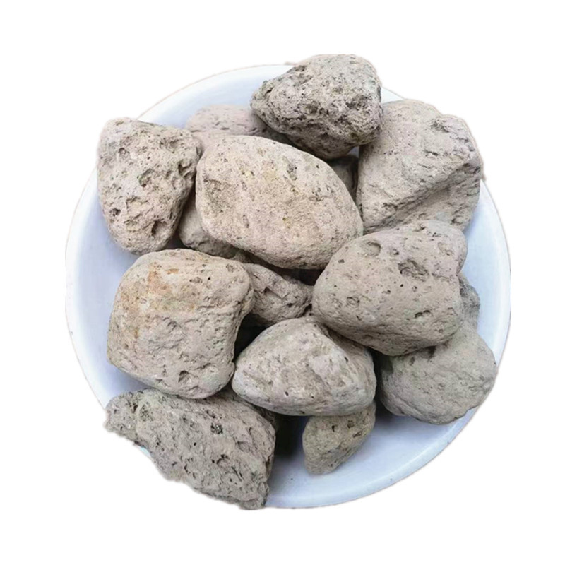 Hai Fu Shi Sea Fossils Dried Mineral Herb Traditional TCM Decoction Ingredient 500g - Image 5