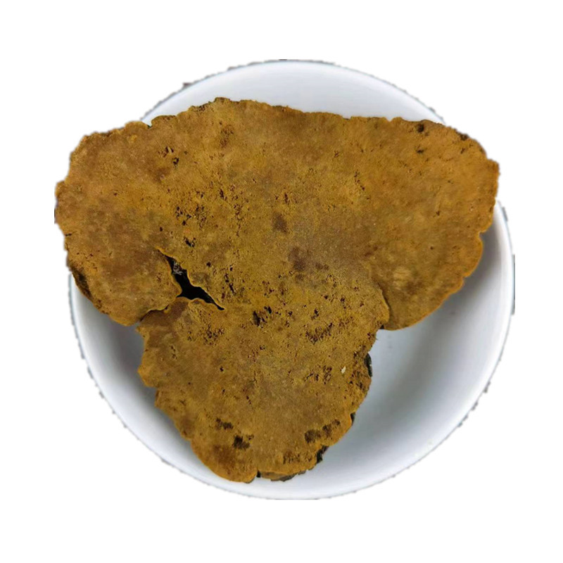 Sang Huang Mulberry Yellow Fungus Dried Phellinus 500g Bulk Herbal Ingredient for Cooking and Decoction - Image 5