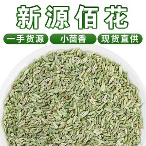 Fennel Seeds (Foeniculum vulgare) — Dried Food-Herb Spice for Braising & Tea
