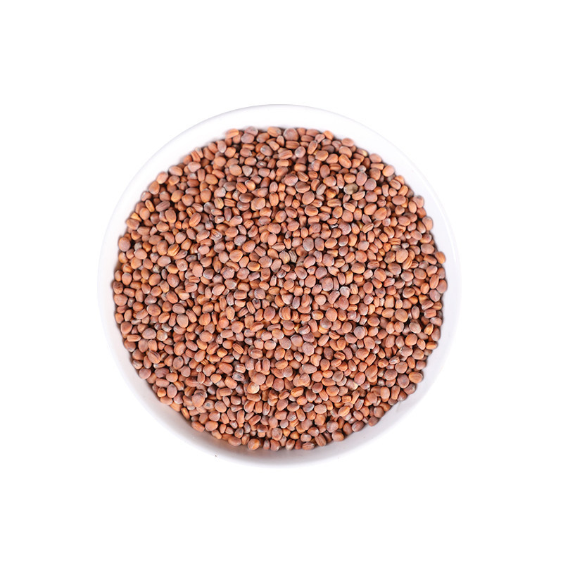 Premium Wild Radish Seed La Fu Zi 500g Stir-Fried Raphani Semen Traditional TCM Herb - Image 5