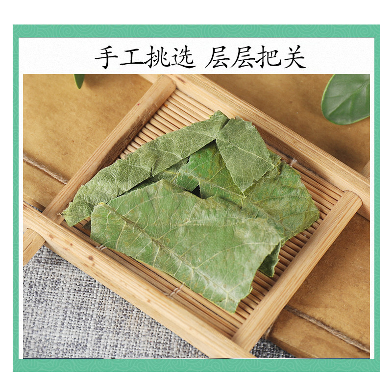 Wild Loquat Leaf Pi Pa Ye 500g Dried Eriobotrya japonica Folium for Traditional Herbal Tea and Decoction - Image 3