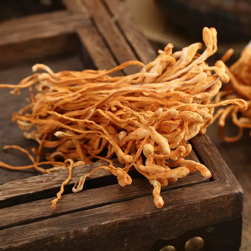 Cordyceps Flower Chong Cao Hua Dried Cordyceps Militaris Fruiting Bodies 500g for Soup and Tea - Image 2