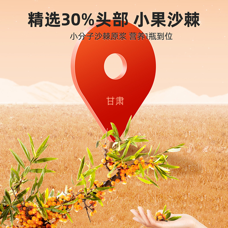 Sea Buckthorn Juice Puree 500ml Gift Box Ready to Drink Sha Ji Yuan Jiang - Image 3