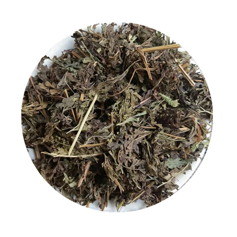 Wu Jiu Dried Herb Sazenia japonica Whole Plant Traditional Chinese Herbal Tea Material - Image 5