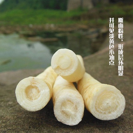 Chuan Ming Sha Shen (Adenophora stricta) — Sulfur-Free Dried Root for Nourishing Soups - Image 3
