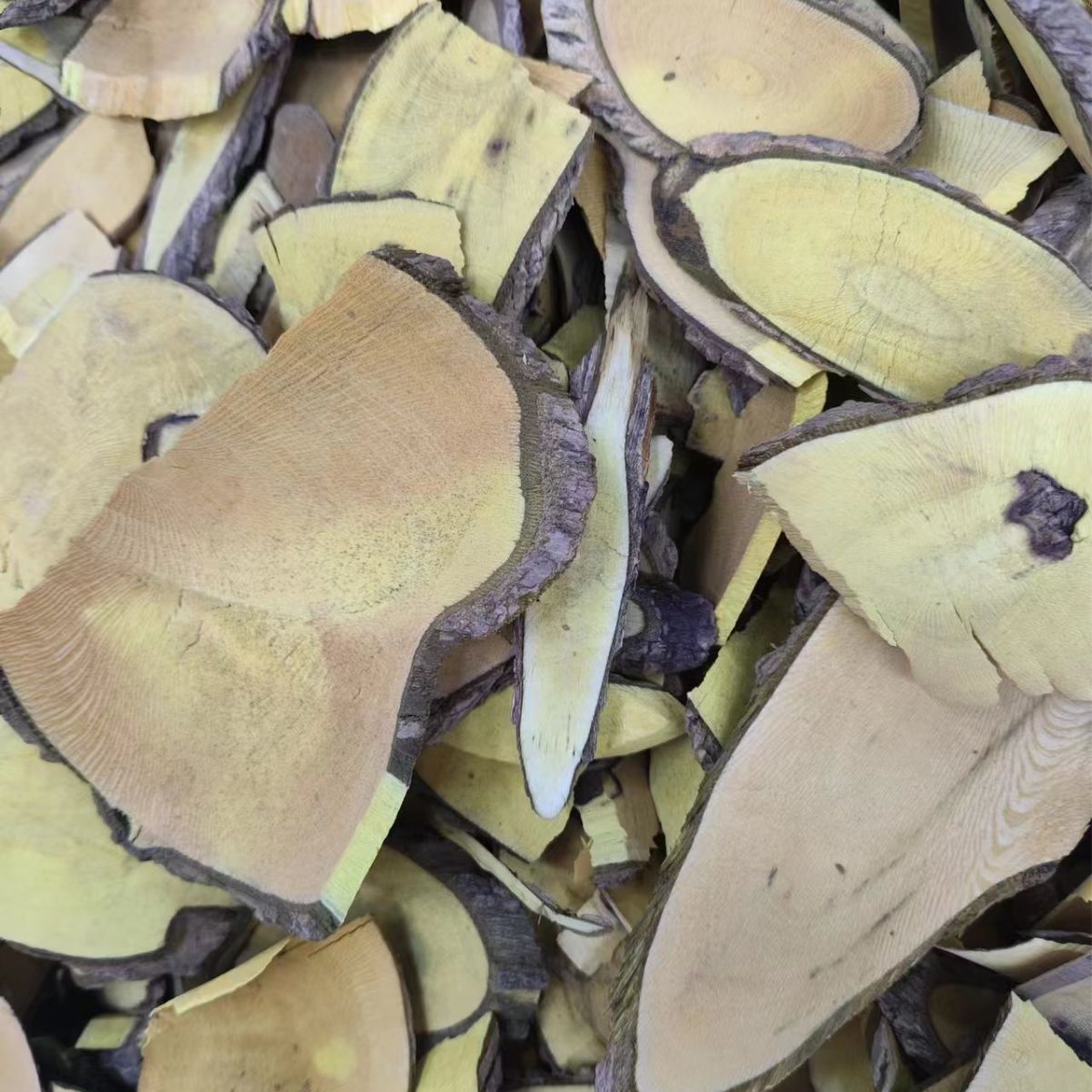 Gong Lao Mu (Mahonia bealei) — Dried Chinese Mahonia Stem for Herbal Decoction - Image 3