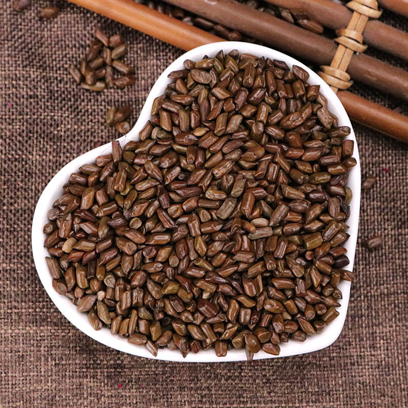 Cassia Seed (Semen Cassiae) — Dried Jue Ming Zi Food Herb for Tea & Pillow Filling - Image 2