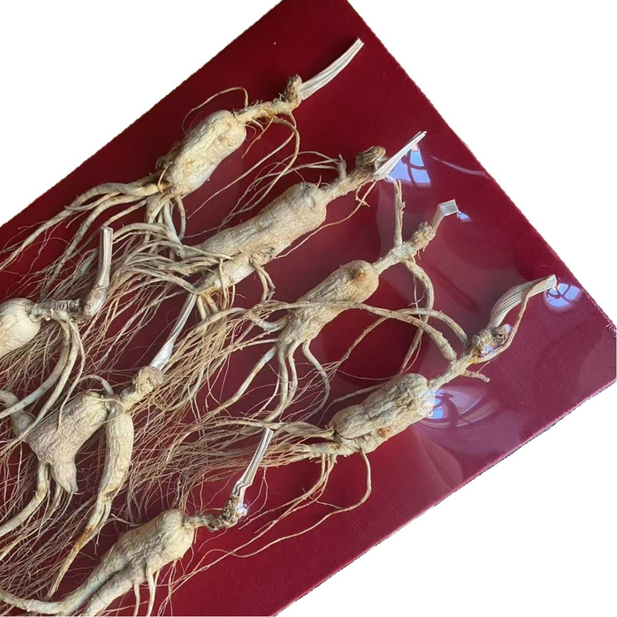 Wild-Simulated Ginseng Slightly Imperfect Roots 100g Dried Sliced for Cooking and Decoction - Image 5