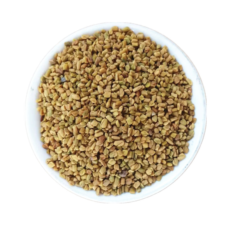 Fenugreek Seeds Hu Lu Ba 葫芦巴 Dried Whole Seeds Traditional TCM Herb for Decoction and Culinary Use Bulk Supply - Image 5