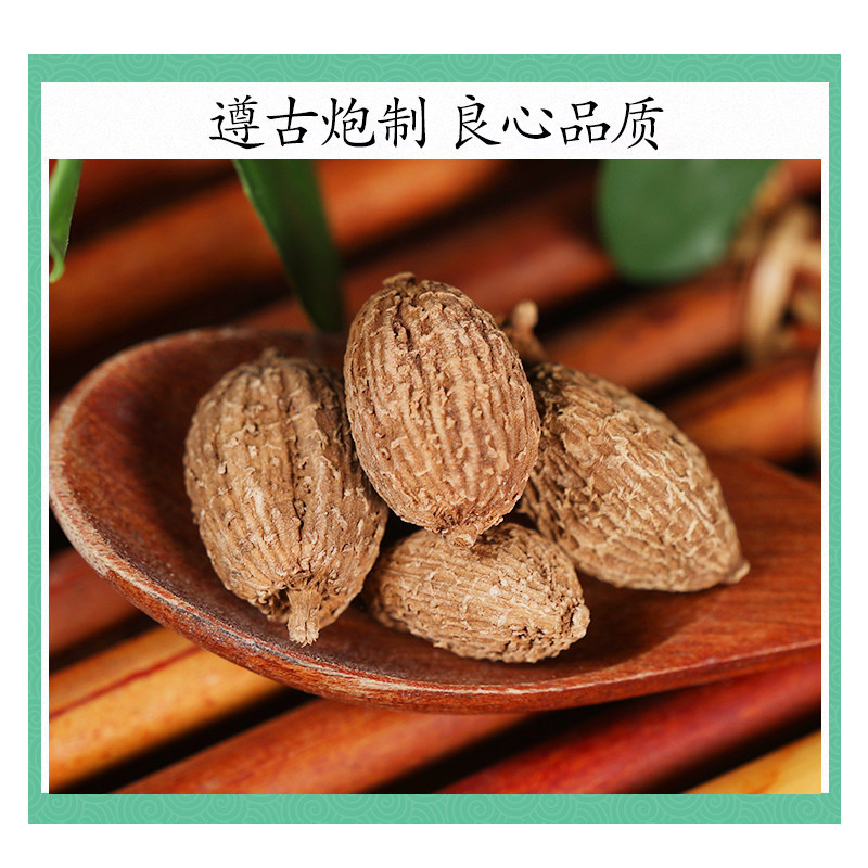 Wild Amomum Fruit Sha Ren 砂仁 Dried TCM Herb for Tea and Cooking 500g - Image 2